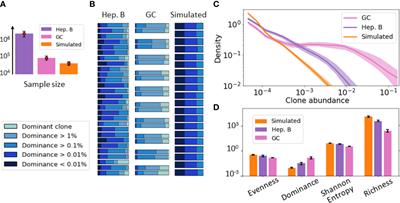 Exploring the impact of clonal definition on B-cell diversity: implications for the analysis of immune repertoires